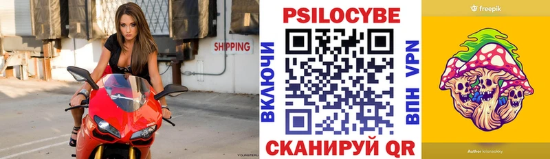Псилоцибиновые грибы GOLDEN TEACHER  сколько стоит  Купино 
